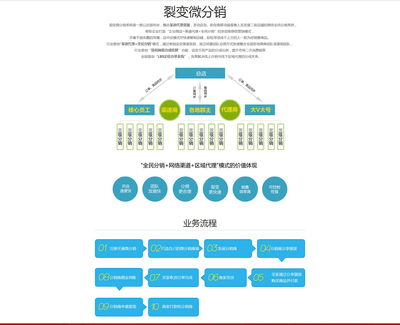 营销策划 驱动企业增长的核心引擎