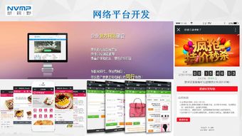 琼海市互联网协会会员风采 海南新视野企业营销策划服务有限公司——深耕本土，智创未来